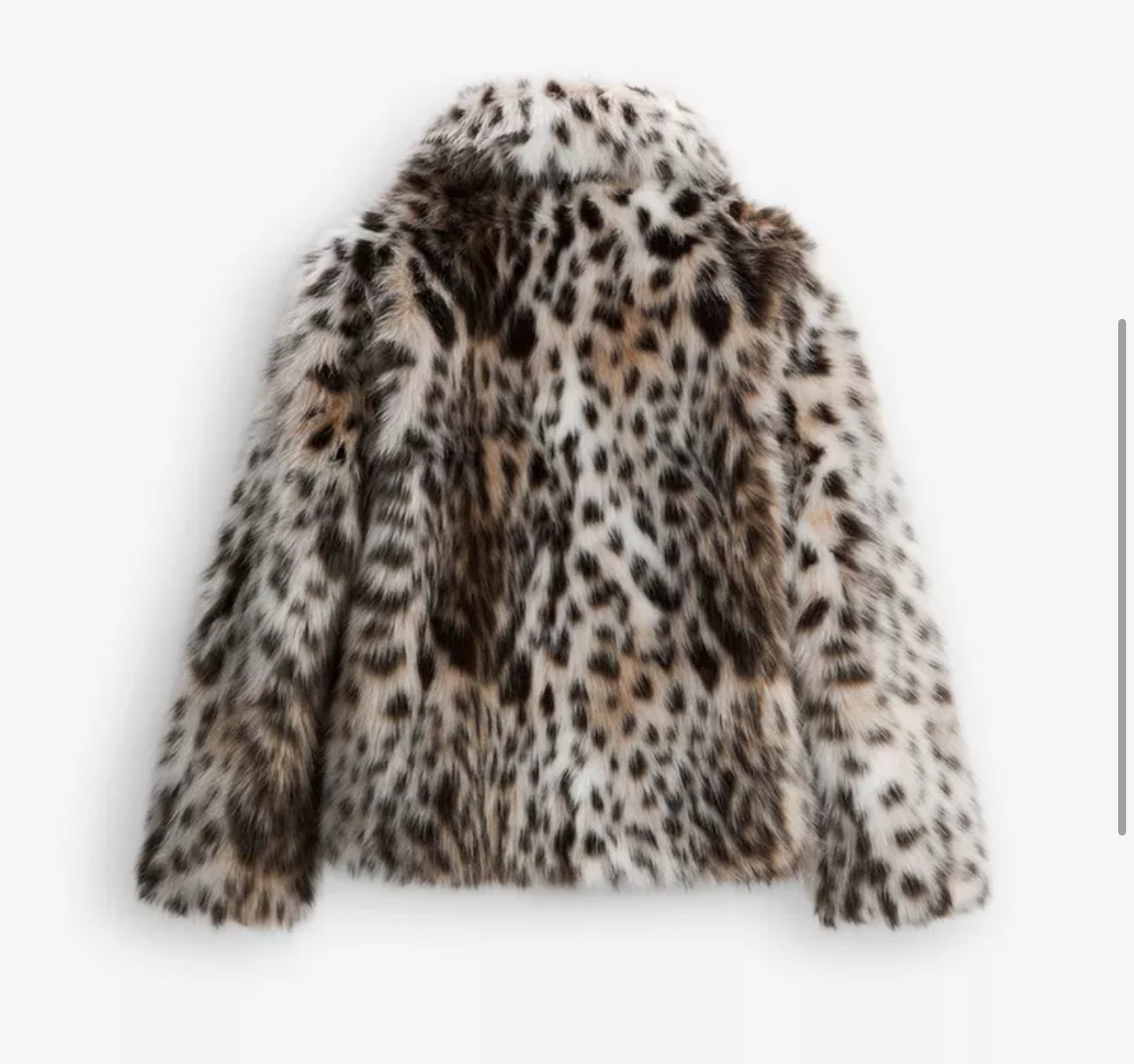 Leopard Faux Fur Jacket